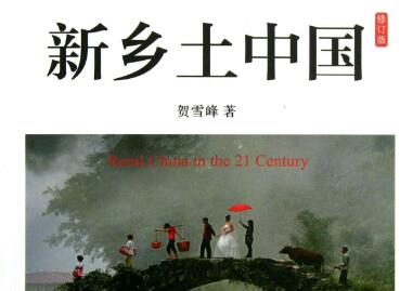 《新乡土中国》书籍封面图片