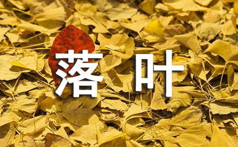 精选落叶二年级作文六篇