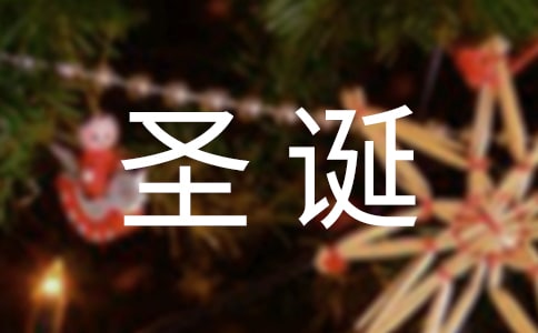 圣诞节的愿望二年级作文