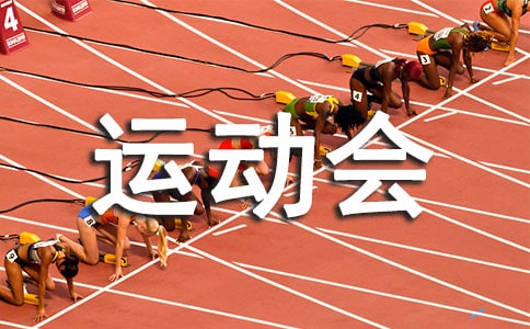 有关一年级运动会作文300字锦集5篇