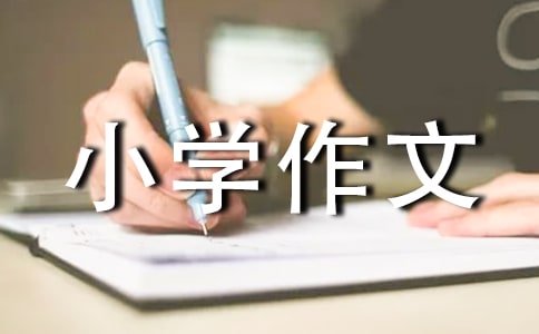 一年级小学作文