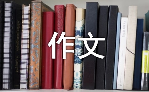 好玩的.夹珠子二年级作文