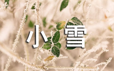 小雪花漫游记二年级作文