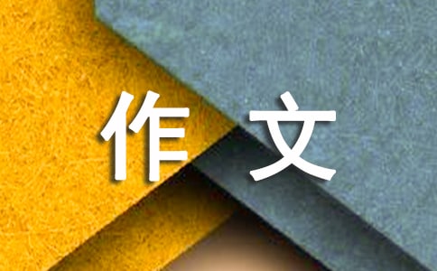 玩中的乐趣和收获小学二年级作文250字（精选21篇）