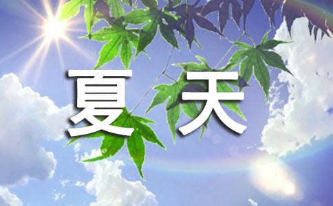 夏天到了一年级作文